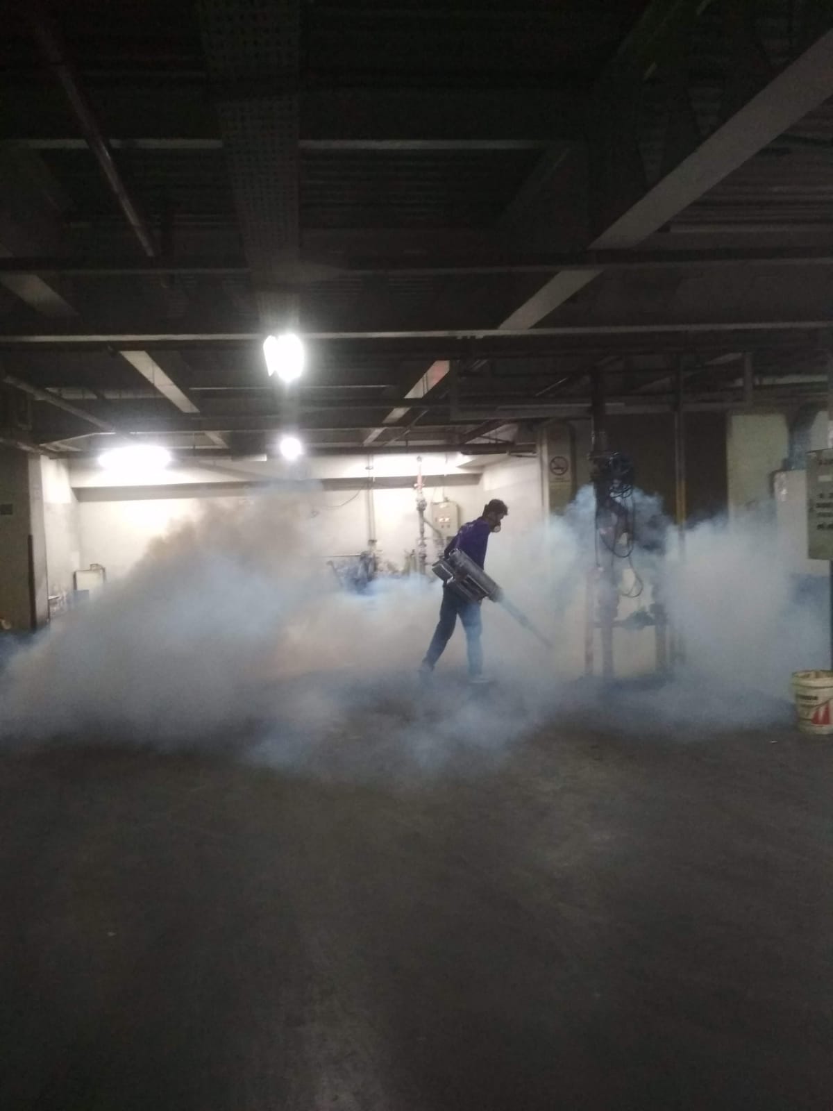 Bahaya Rayap terhadap Bangunan yang Sering Diabaikan