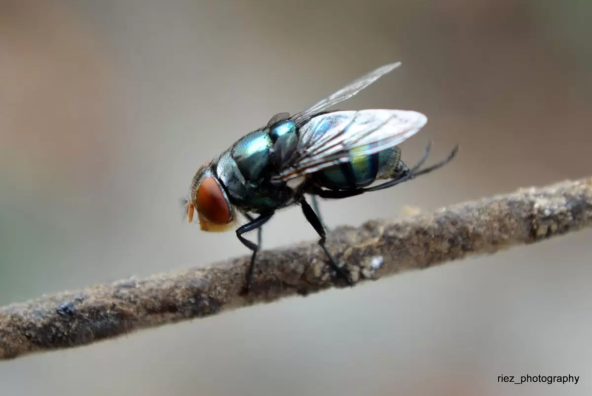 <br />
<b>Notice</b>:  Undefined index: nama_hama in <b>/home/protermi/public_html/app/home.php</b> on line <b>299</b><br />
