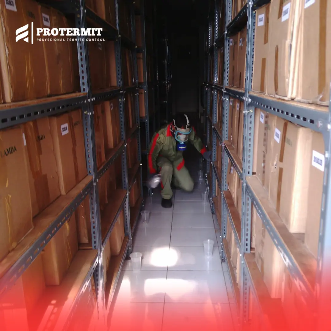 Metode Pengerjaan Tikus