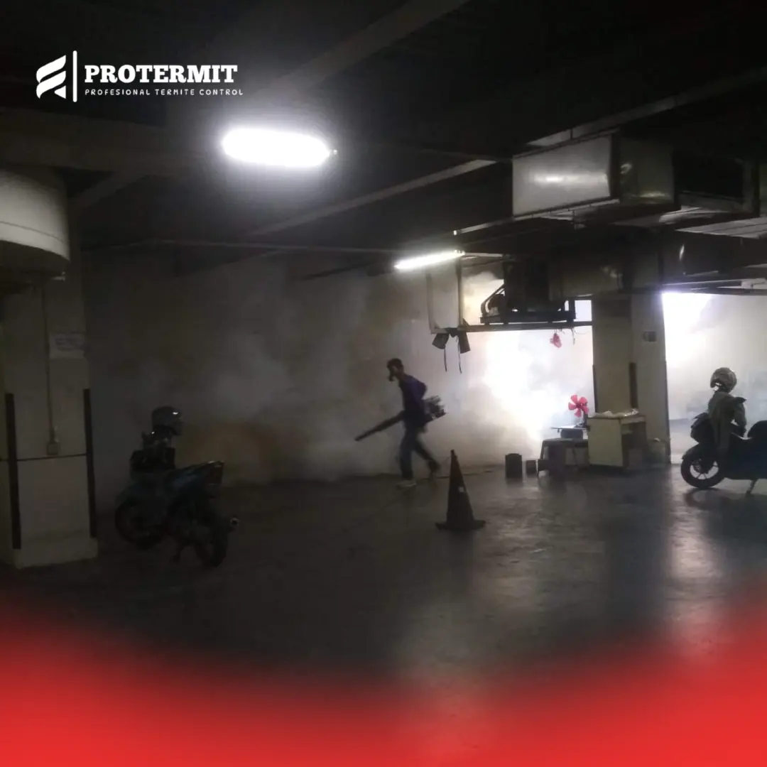 Metode Pengerjaan Lalat